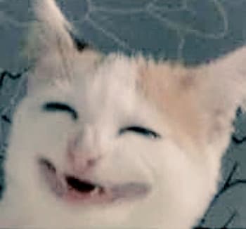 笑う猫