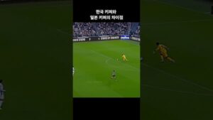 サッカー日本代表GK鈴木彩艶のロングフィード集
